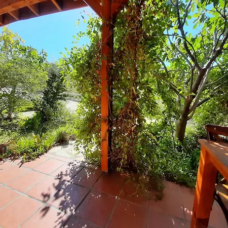 Ionia Guest House Aydin Exterior photo