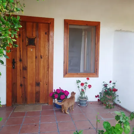 Ionia Guest House Aydin Exterior photo