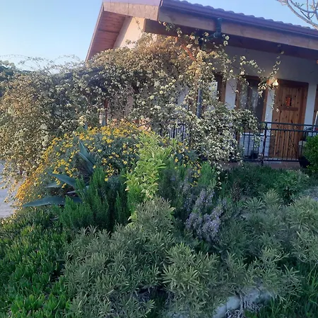Ionia Guest House Aydin Exterior photo