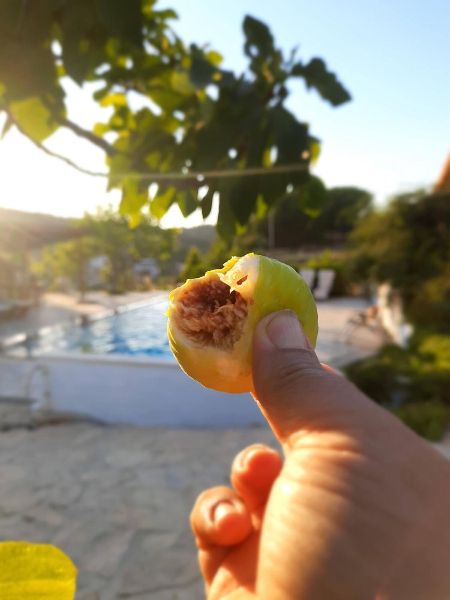 Guest house Ionia