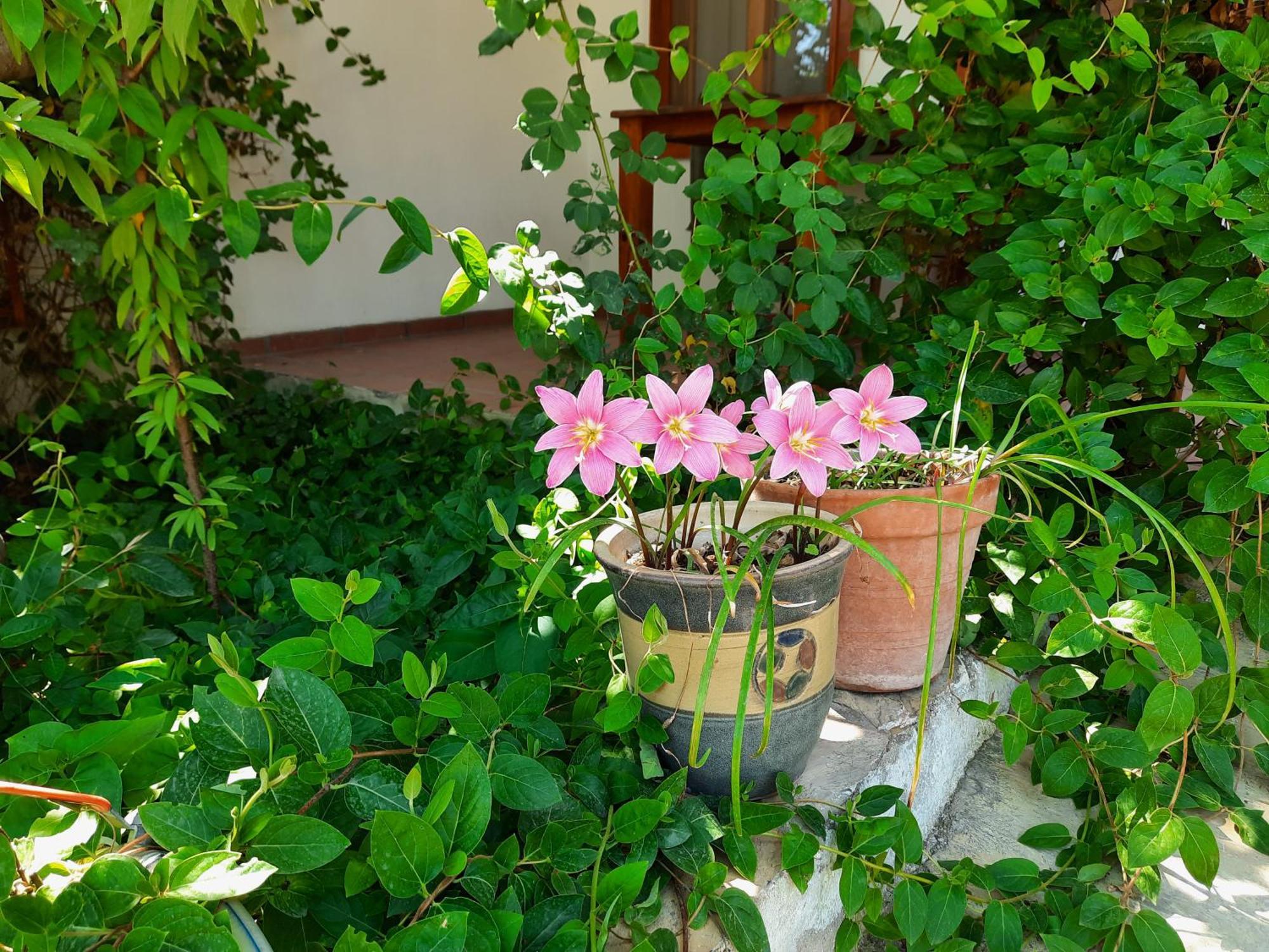 Guest house Ionia