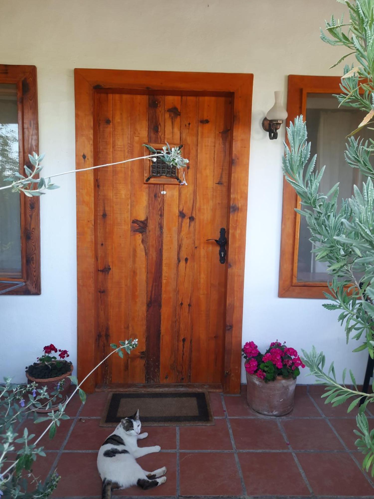 Guest house Ionia Aydin