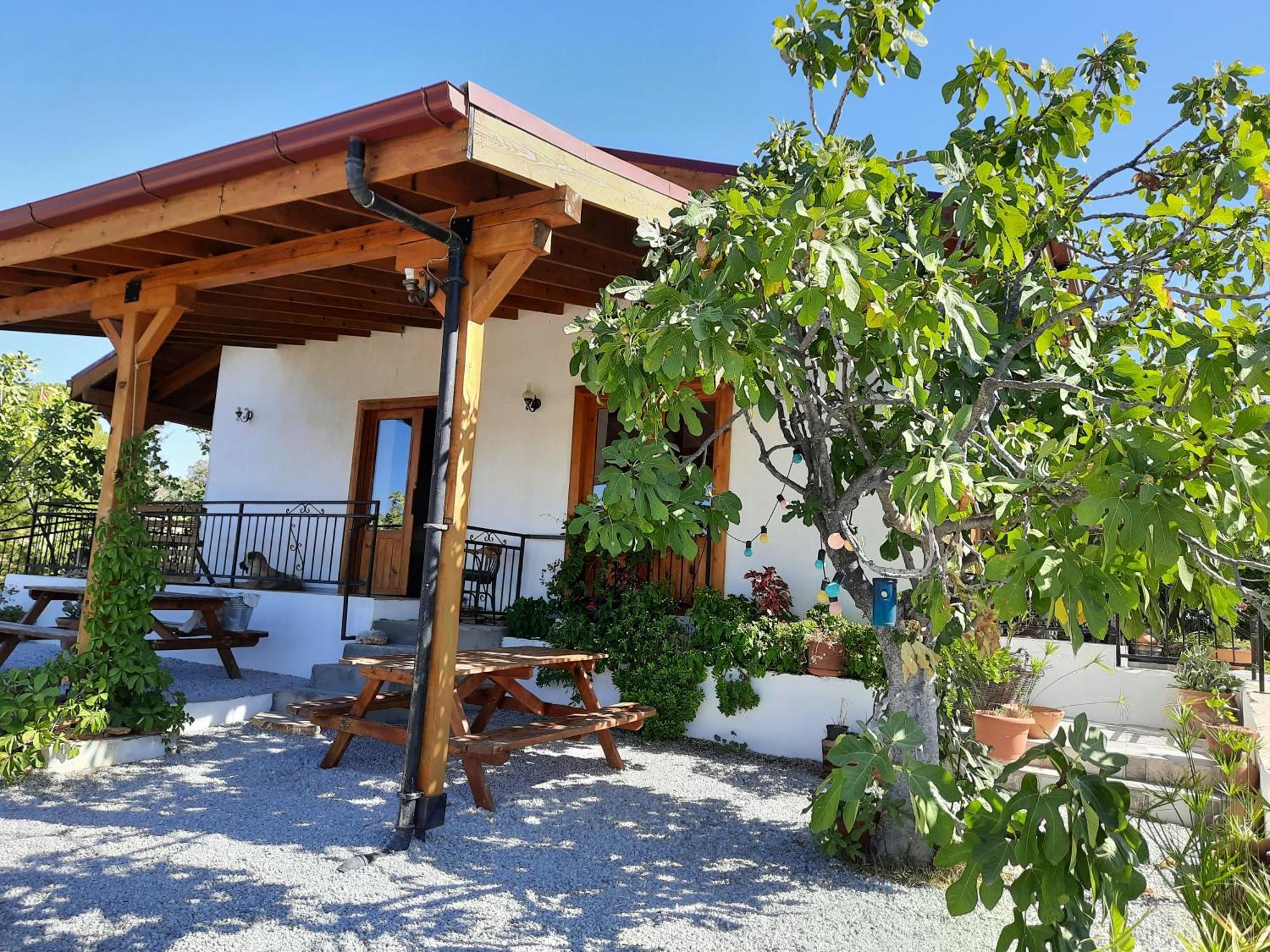 Guest house Ionia Aydin