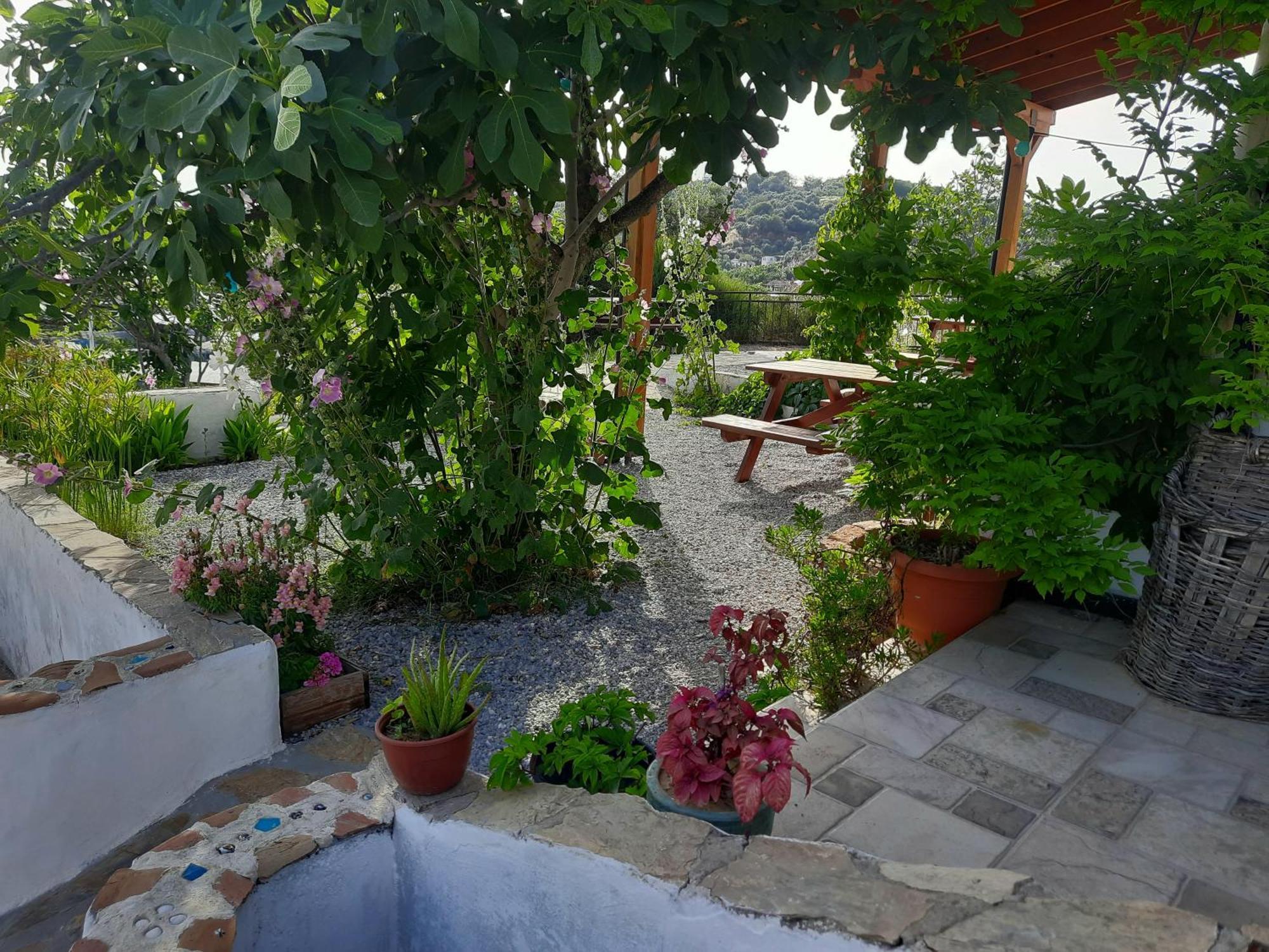 Ionia Guest house