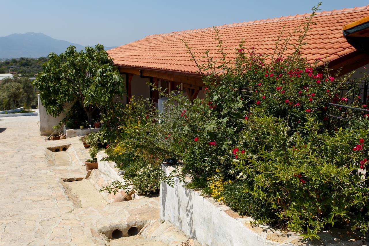 Ionia Guest house *