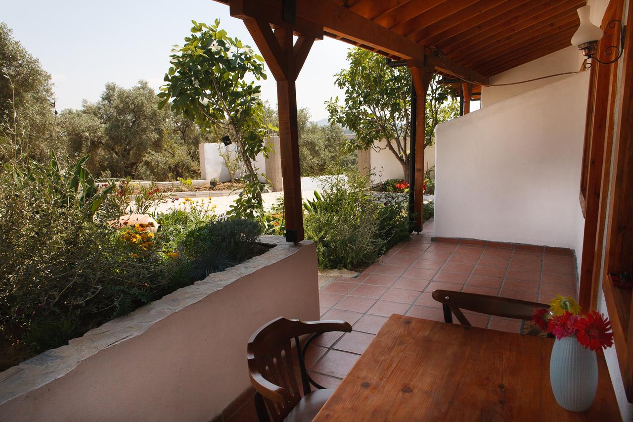 Ionia Guest house