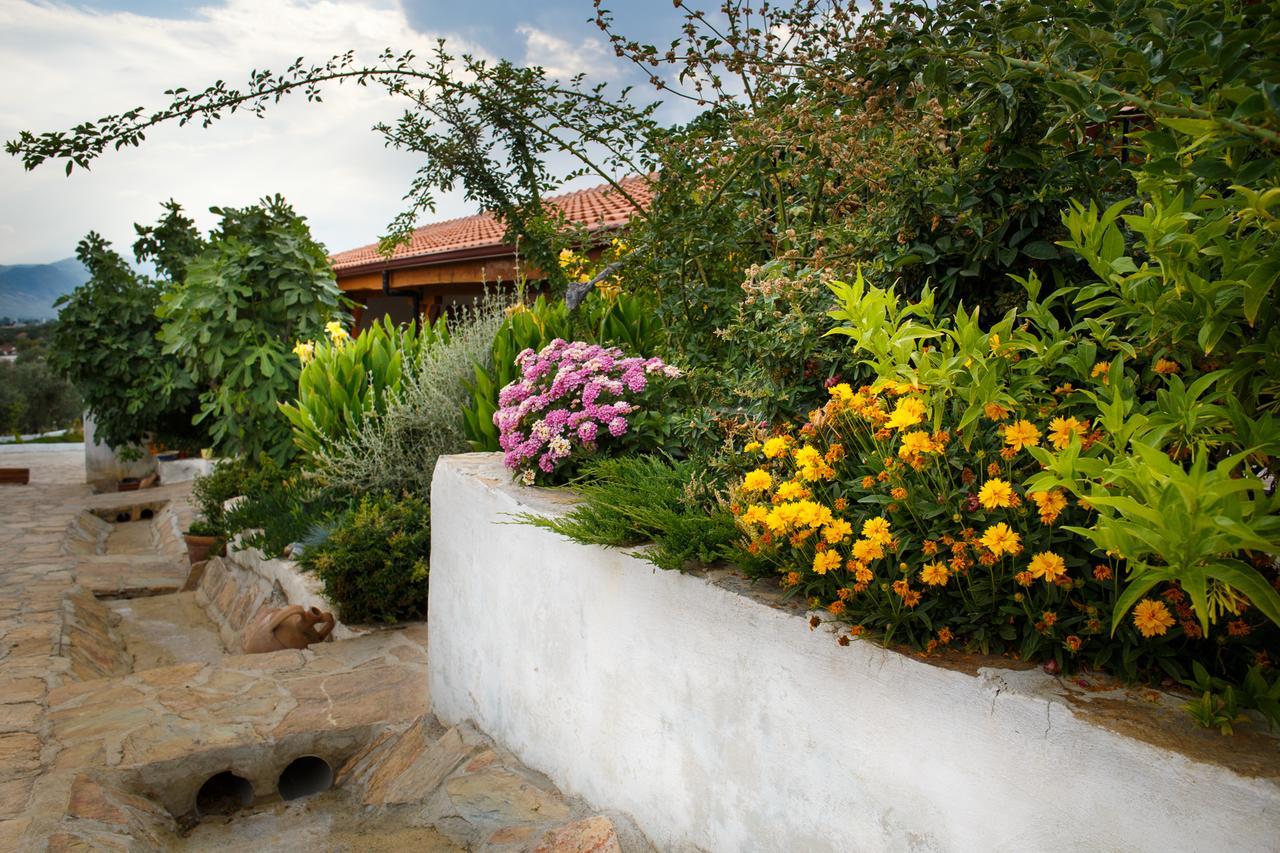 Guest house Ionia